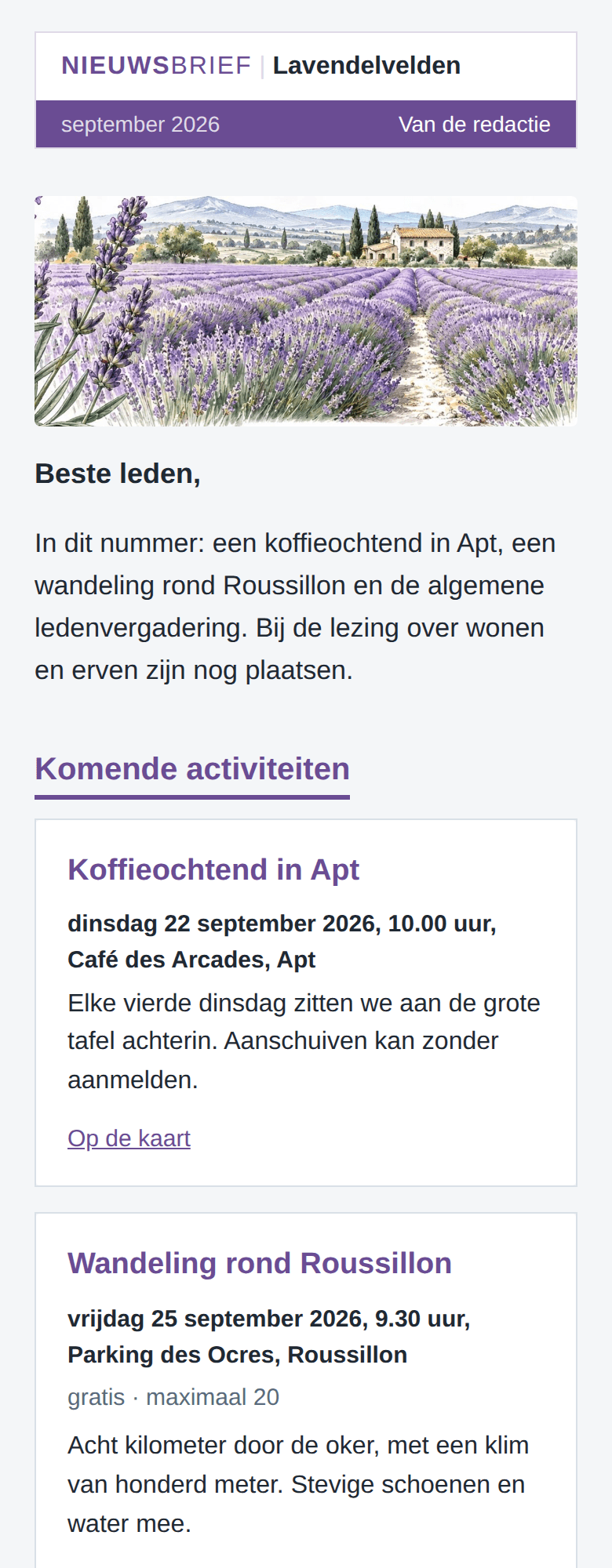 Een nieuwsbrief zoals de tool hem maakt, op een telefoon